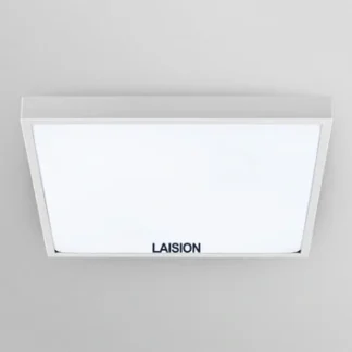 Laision Silver Injection Molding Circlip